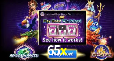 Apostas Esportivas na 65x: Um Guia Completo